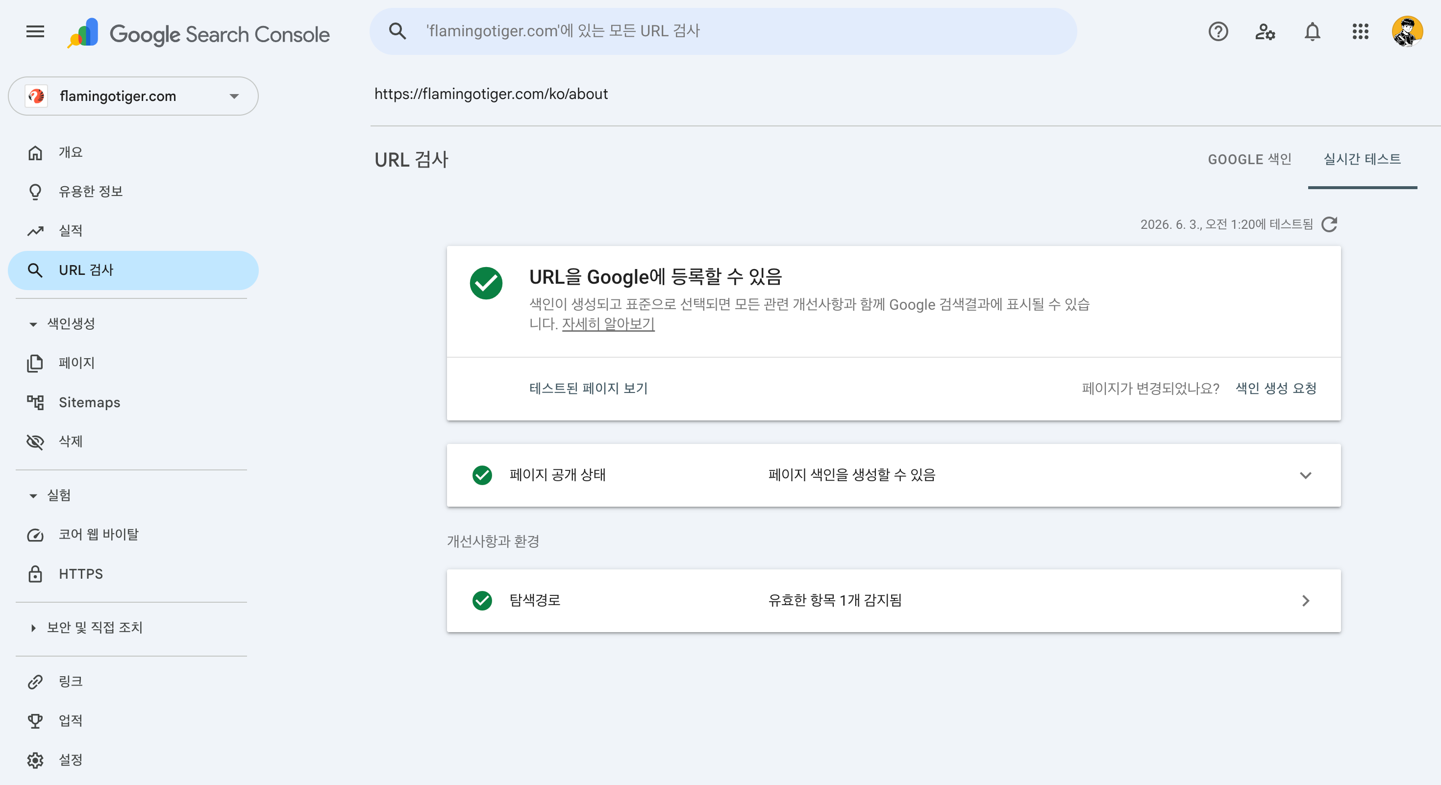 Google Search Console 색인 생성 요청 화면